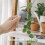 (Transparent, Large) Mini Self Watering Pots, Clear, Water Level Indicator 3