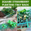 (10 Pcs, One Size) Square Strawberry Support Racks, Anti-Rot, Growing Frame 7