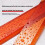 (50cm, 1pcs) High Resilience Plastering Scraper, Flexible Arc, Drywall 7