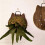 (S, 1pcs) Tabla montar helechos forma gato, pared. 8