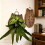 (S, 1pcs) Tabla montar helechos forma gato, pared. 6