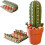 (Green, -) Cactichess Advanced Roll up Cactus Chess Set, Portable 1