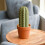 (Green, -) Cactichess Advanced Roll up Cactus Chess Set, Portable 5