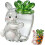 (rabbit, 1pcs) Borcan bomboane iepuraș sticlă, Paște 1