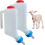 (2PCS, -) Biberon capră 1000ml, scară 1