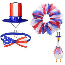 (Colorc, 1set) Tenue oie porche 4 juillet, costume indépendance, été