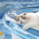 (Blue,Medium, -) Thickened Ocean-Themed Cooling Water Mat for Pets, Floating Fish 5