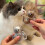 (Clear, 3Pcs) Cat Whisker Keepsake Fridge Magnet, Clear Acrylic, Storage 4