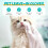 (24 PCS, -) Lemmikin hansikas pyyhe 5