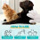 (12 PCS, -) Lemmikin hansikas pyyhe 6