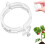 (White, -) 300 clips plástico plantas, enredaderas. 1