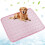 (Pink, Small) Koiran jäähdytysmatto 1