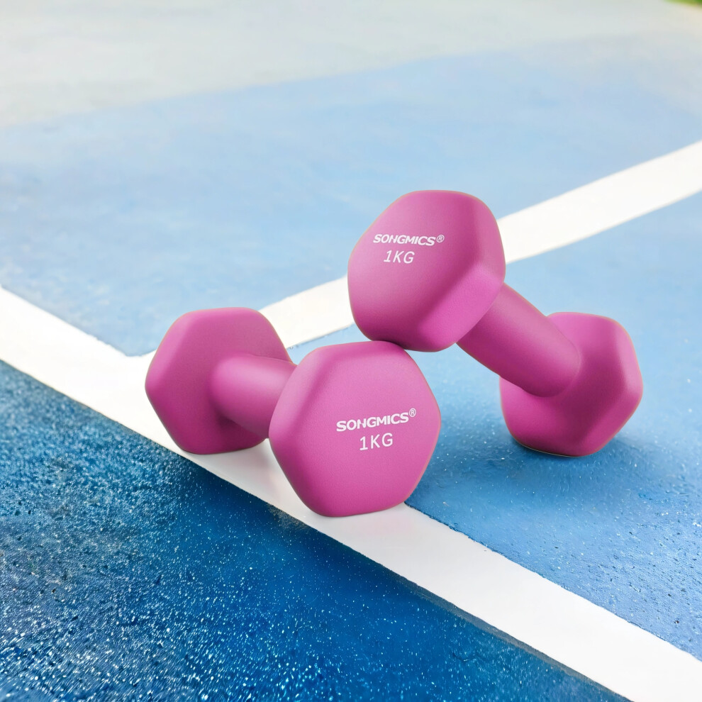Songmics Set Of 2 Neoprene Hex Dumbbells, 2 X 1 Kg, With Dumbbells Bars, Home Training, Pink