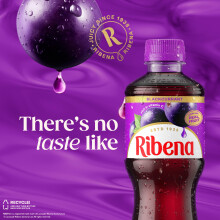 Ribena Blackcurrant Juice Drink 500ml - Multipack of 12 | Real Fruit | Rich In Vitamin C | No Artif