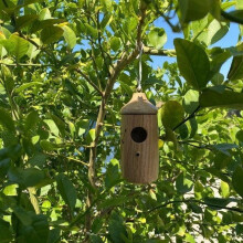 (style E, 1pcs) Houten kolibrie huis, voor natuurliefhebbers, hangend - voor kleine vogels, nestkast voor buiten