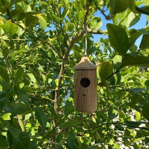(style E, 1pcs) Casa colibrí madera, para exteriores.