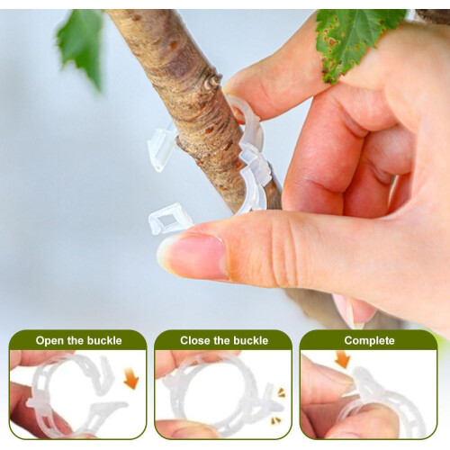 (White, -) 300 clips plástico plantas, enredaderas.
