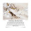 Household Bed Bug Spray Remover Bed Sheet Sofa BedBug Removal Prevent Fleas And Bed Bug Bites 4