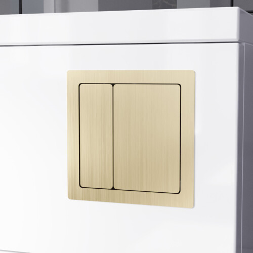 NES Home Nes Home Brushed Brass Square Button WC Flush Plate