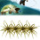(Yellow, -) 4 momeli arici mare 1