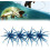 (Blue, -) 4 momeli arici mare 1