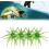 (Green, -) 4 momeli arici mare 1