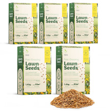 Foris 7kg Fast Grow Lawn Seed, 465 sq. m, 7-14 Day Germination, Hard Wearing Repair Blend, Low Maintenance UK Climate Grass Seed
