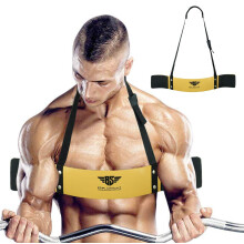 Arm Blaster for Biceps & Triceps Dumbbells & Barbells Curls Muscle Builder Bicep Isolator for Big Arms Bodybuilding & Weight Lifting Support for Stre