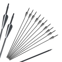 M.J COMFY-LIFE 10Pcs Archery Arrows 30 inch Carbon Hunting Targeting Arrows with Broadhead Target Practice Shooting Arrows for Recurve Bow Compound B