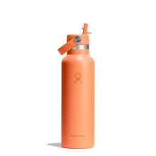 Hydro Flask – Standard Flex Straw Cap 621 ml (21 oz) Bottle – Stainless Steel, Leakproof, Cupholder Compatible – Insulated Cold 24 Hrs – Necta