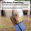 Small Pet Feeding Box With Ergonomic Design For Comfortable utilization Light Grey 2