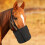 Medium Sized Equine Feed shipper Ventilation System For Mineral Supply And Nutrition Black 8