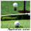 20Pcs Plastic Golf Simulator Tees Large And Small Training Golf Practice Mat Tees Blue 1
