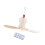 2000Mah Mini Ceiling Fan 3 Speed With Remote Control LED Light For Camping Tent 1