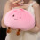 Large pierogi Patterned Gentle Cushion For Home Styling And Rest Pink 1