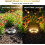 (Warm Light, -) 8 lumini solare cale 4