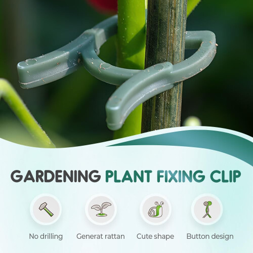 (S, -) 50 Clipes Orquídeas, Plástico e Vinhas, Suporte e Plantas 1