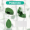 (Green, -) Clips hojas adhesivas, enredaderas. 5