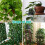 (Green, -) Clips hojas adhesivas, enredaderas. 3
