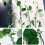 (Green, -) Clips hojas adhesivas, enredaderas. 7