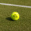 Slazenger Slazenger Tennis Balls Wimbledon 6