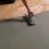 20kg Self Levelling Compound Levelmaster Floor Cement Screed Concrete 2