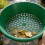 Heavy Duty Plastic Construction Screening Tool For Efficient Soil Filtering Black 1