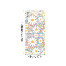 Car Sunroof Decorative Film PVC Material Light Blocking Visual Screen Colorful XCBL013