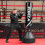 FORZA 6ft Freestanding Punch Bag | Durable Microfibre Leather with 4