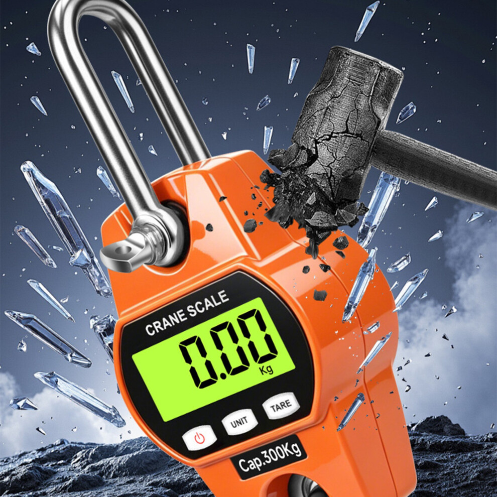 Industrial Grade Hanging Scale Waterproof And Shockproof For Harsh Environment Blue 500Kg 7754004570108