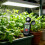 Digital Luminance Meter Illuminometer For Precise Light Intensity Measurement 1