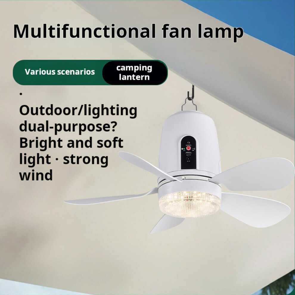 16.5Inch Portable Remote Controls Fan Light With Solars Chargers For Outdoor Space 12W 7695001065719