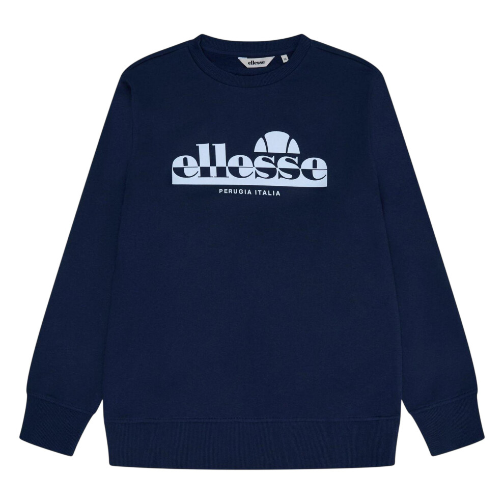 Ellesse (M, Navy) Mens Casual Sweatshirt Blue,Multicoloured