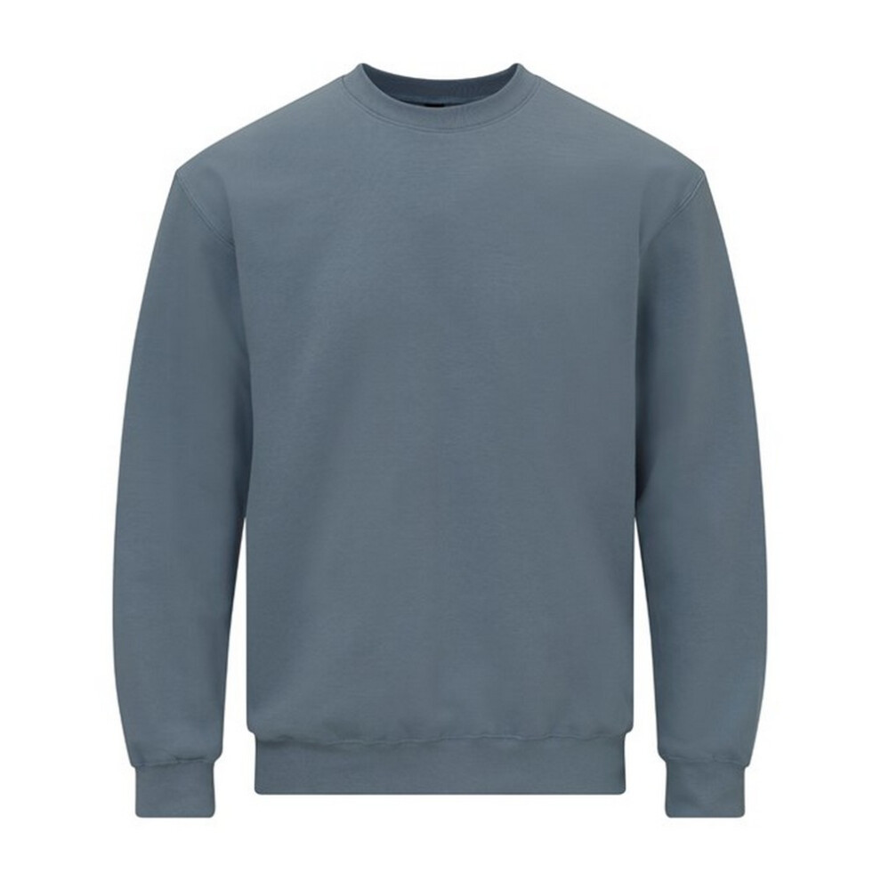 Gildan (S, Stone ) Unisex Adult Softstyle Fleece Midweight Sweatshirt Blue